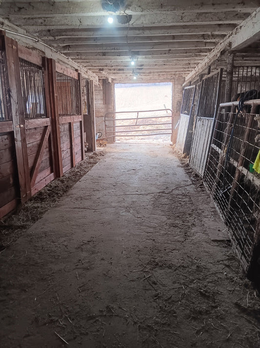 Filling in the Gaps: A Barn Update