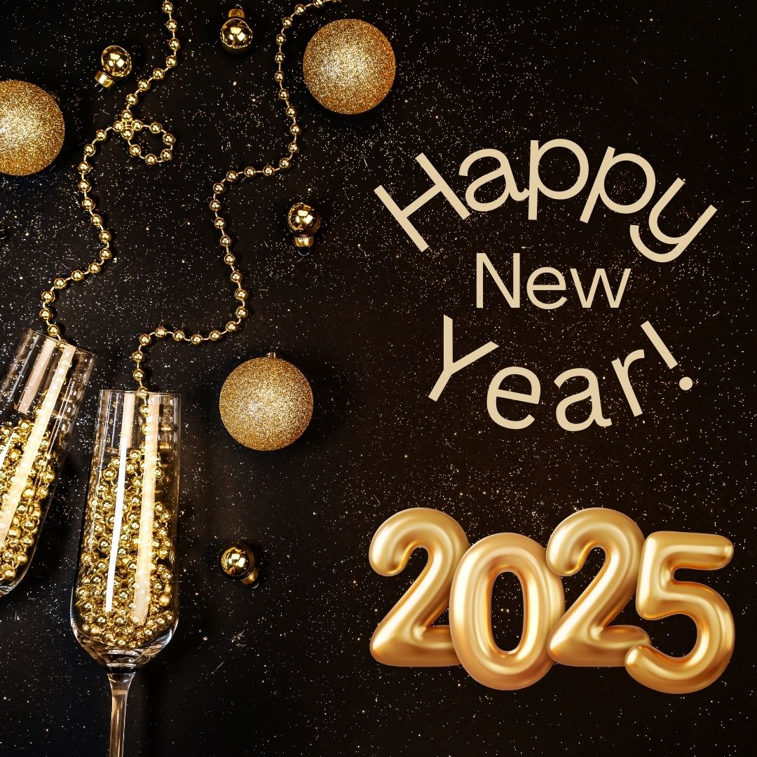 Reflecting on 2024 and Gearing Up for an Exciting New Year at Stock and Steeds