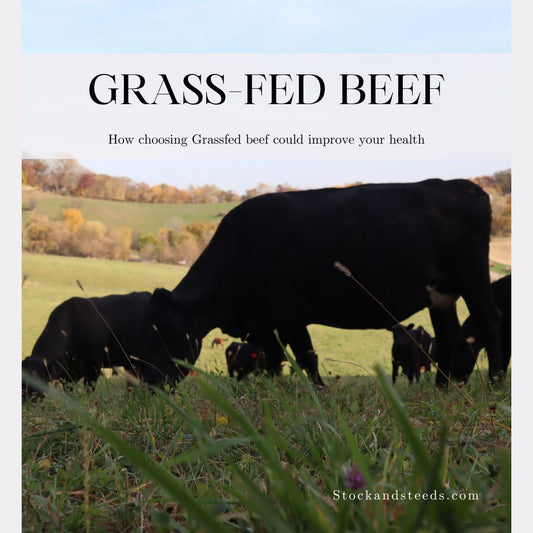 The Health Benefits of Grass-Fed Beef You Didn’t Know About