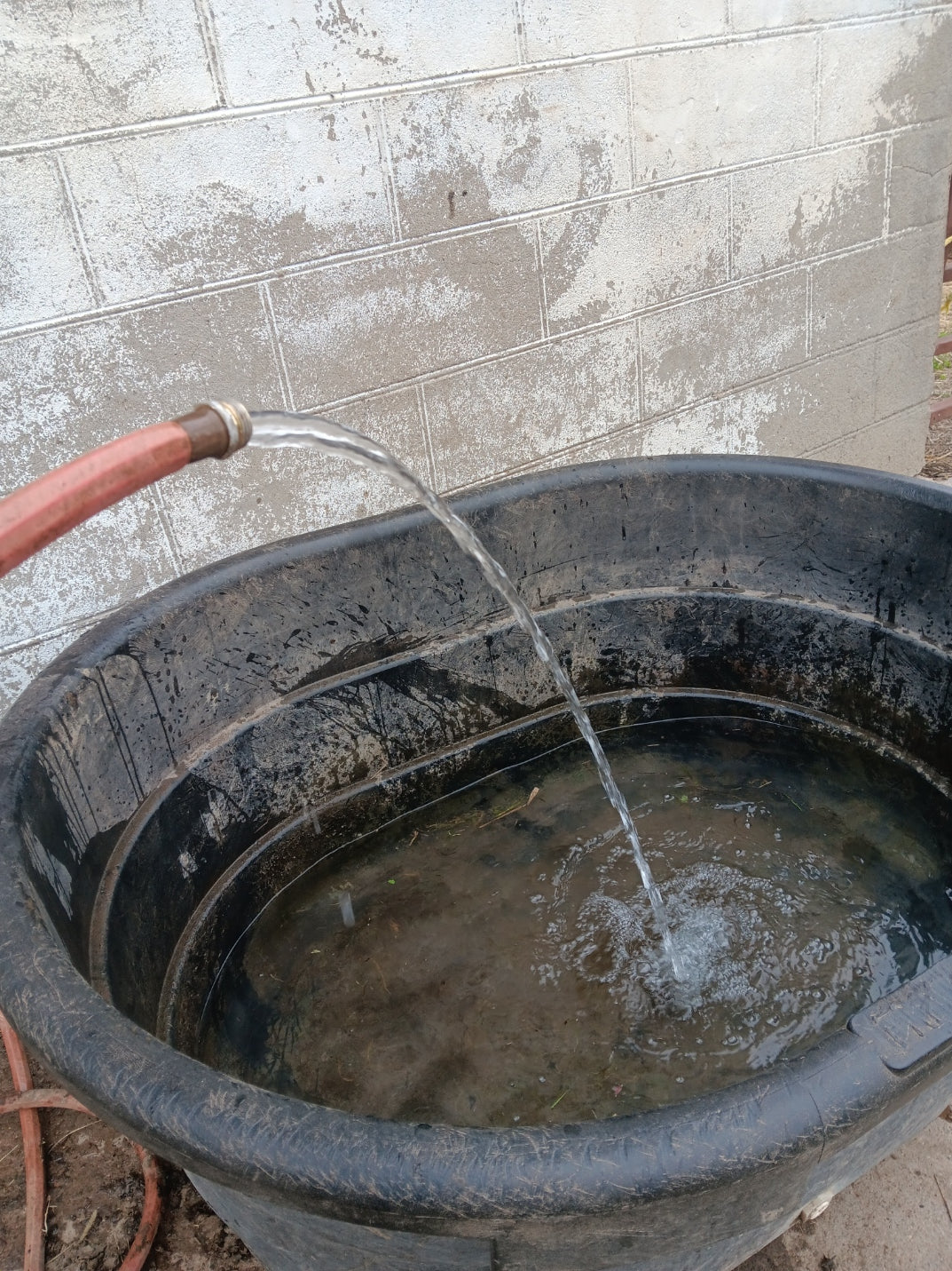 Farm Repairs: Fixing the Well Pump