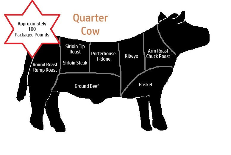 Quarter Cow Reservation